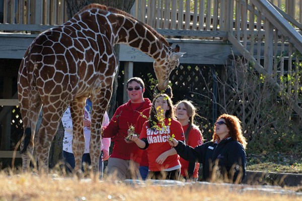 Zoo Science, Bachelor of Science