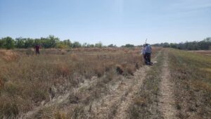 Invasive Species Samplings