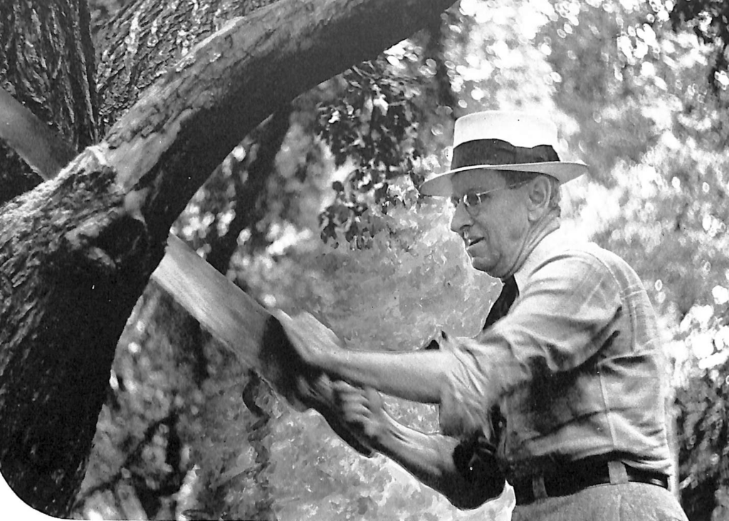 President Edwards Dies in Automobile Accident